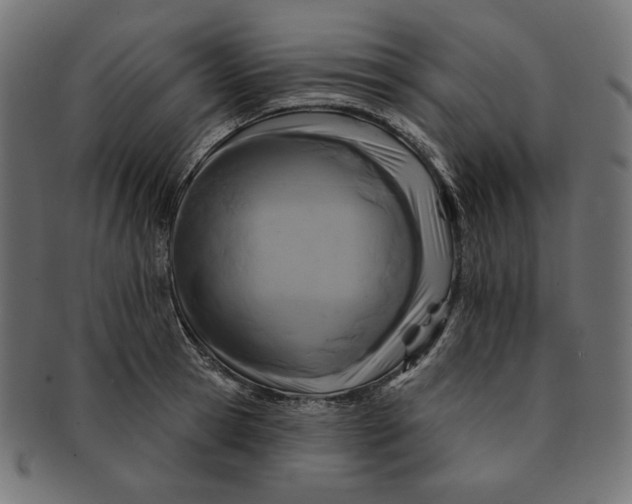 X0000091510945200709070950