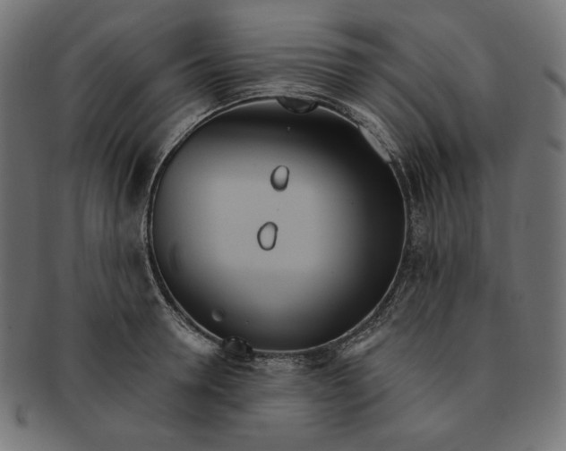 X0000091510946200709070950