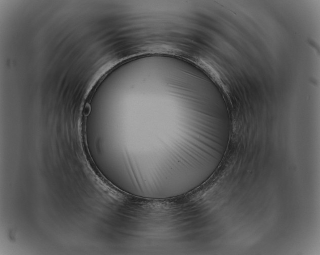 X0000091510947200709070950