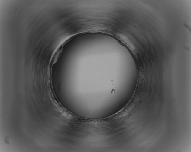 X0000091510948200709070950