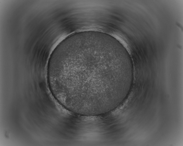 X0000091510949200709070950