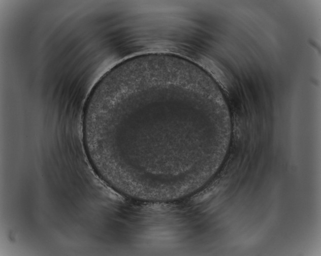 X0000091510950200709070950