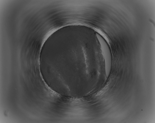 X0000091510951200709070950