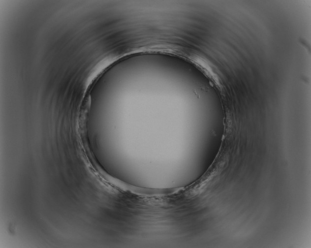 X0000091510952200709070950