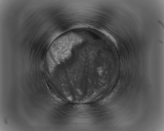 X0000091510953200709070950