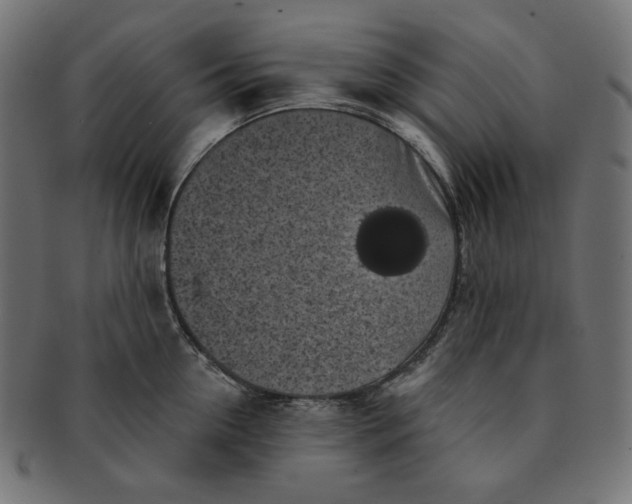 X0000091510954200709070950