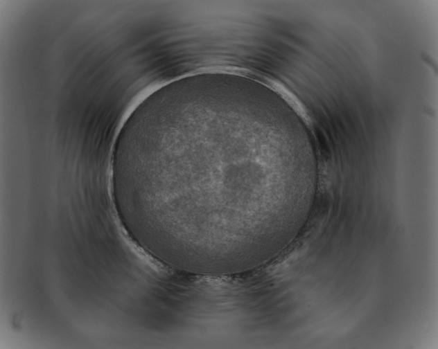 X0000091510955200709070950