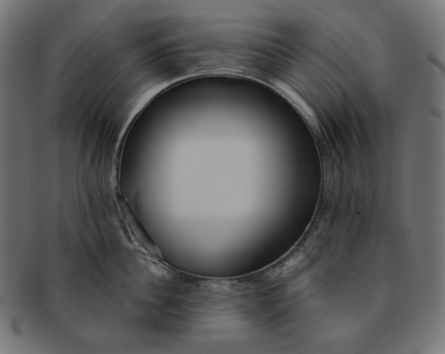 X0000091510956200709070950