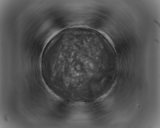 X0000091510957200709070950