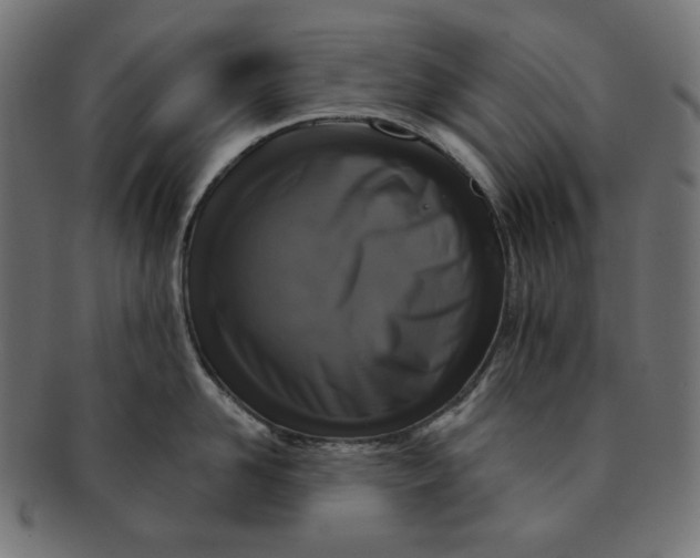 X0000091510958200709070950