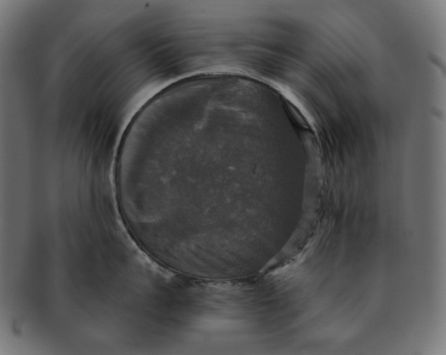 X0000091510959200709070950