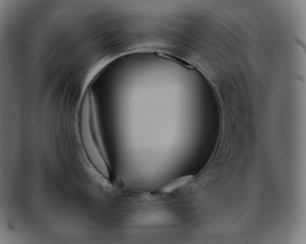 X0000091510960200709070950