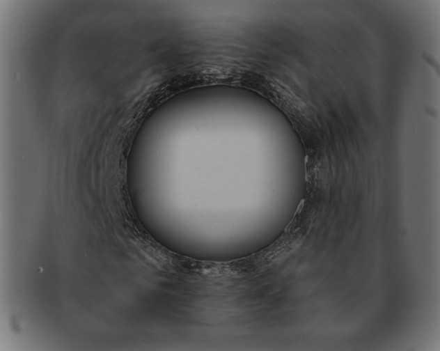 X0000091510961200709070949