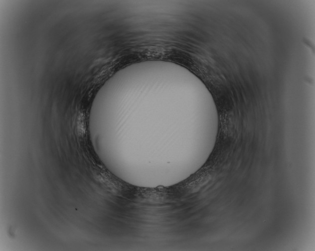 X0000091510962200709070949