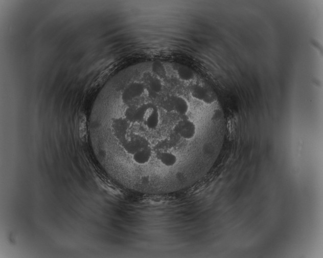 X0000091510963200709070949