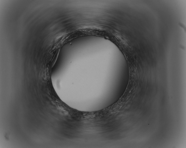 X0000091510965200709070949