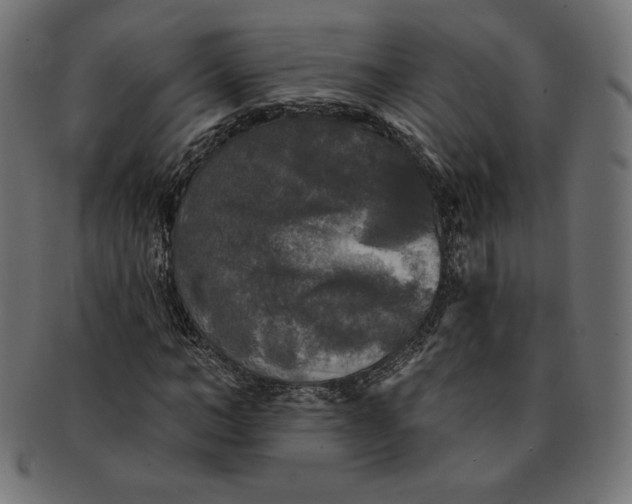 X0000091510966200709070949