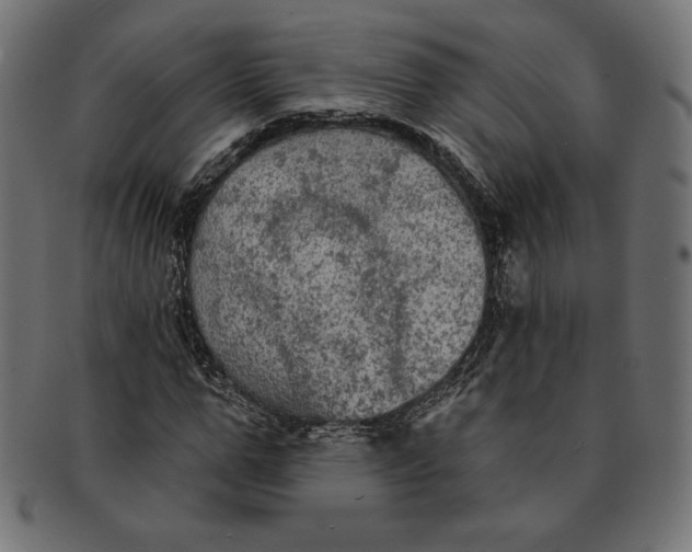 X0000091510967200709070949