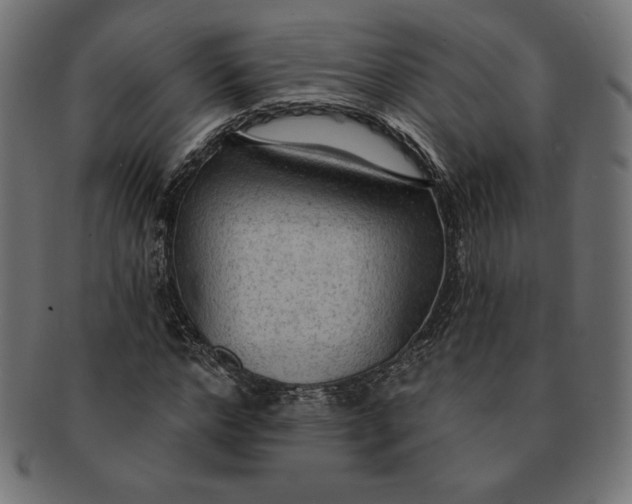 X0000091510968200709070949