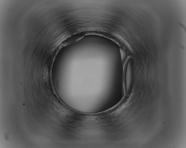 X0000091510969200709070949