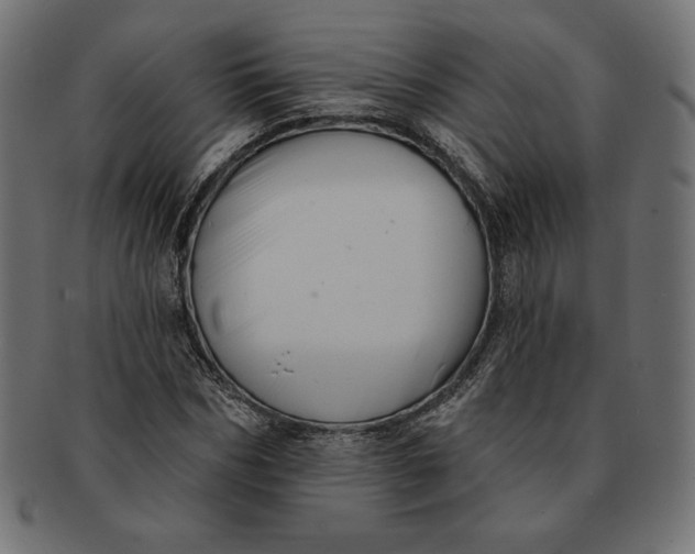 X0000091510970200709070949