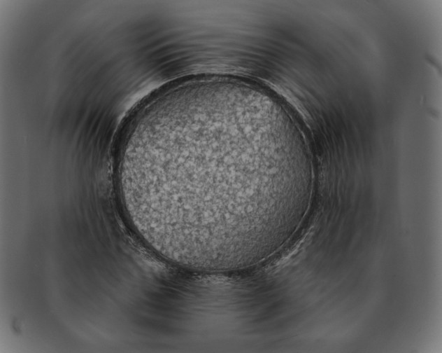 X0000091510971200709070949