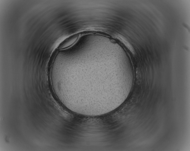 X0000091510972200709070949