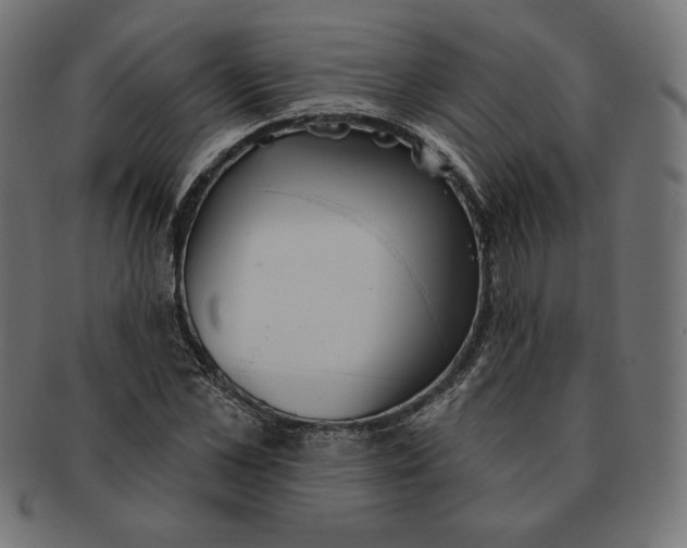 X0000091510973200709070949