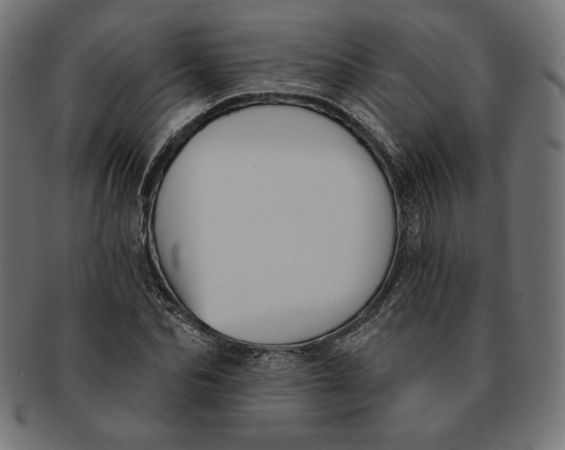 X0000091510974200709070949