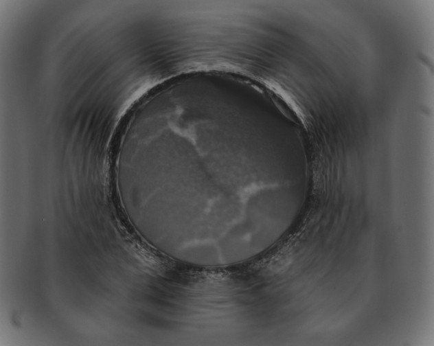 X0000091510975200709070949