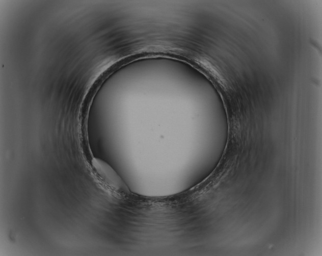 X0000091510976200709070949