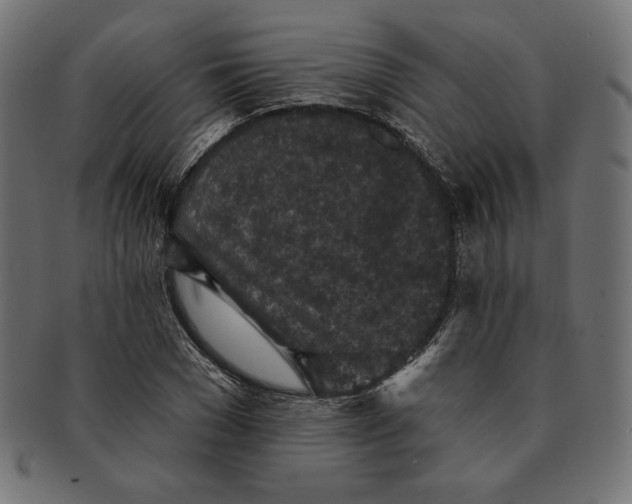 X0000091510977200709070949