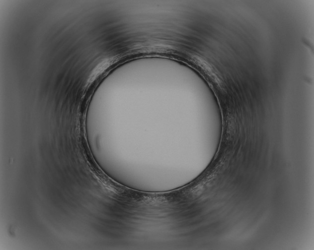 X0000091510978200709070949