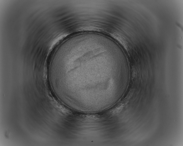 X0000091510979200709070949