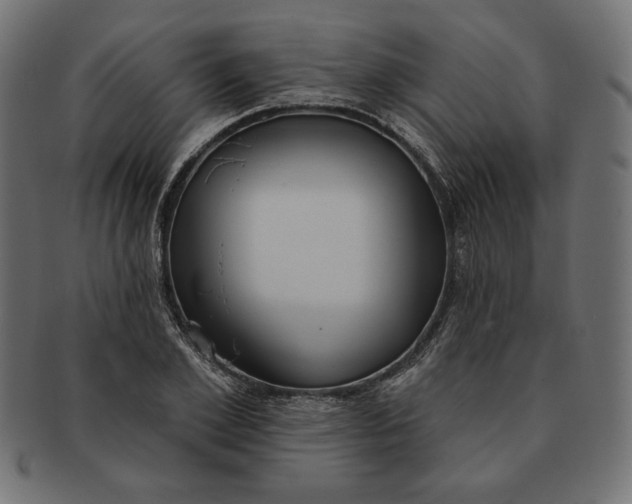 X0000091510981200709070949