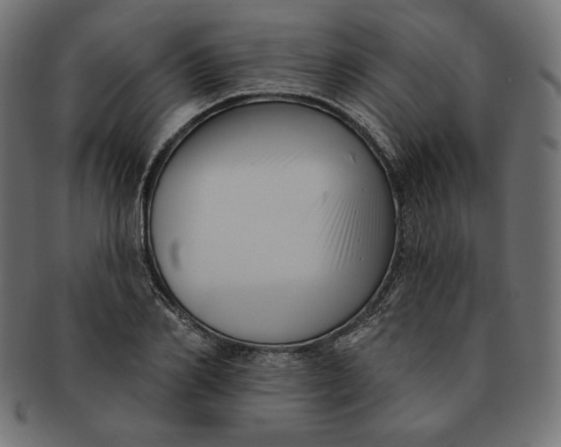 X0000091510982200709070949