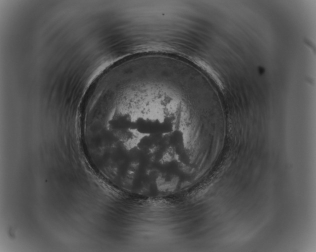 X0000091510983200709070949