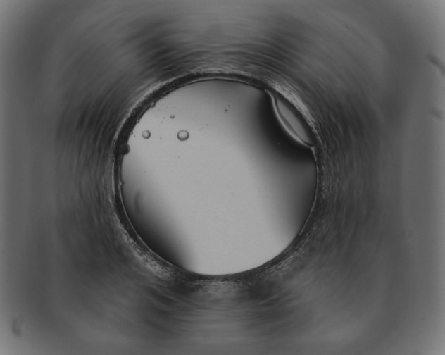 X0000091510984200709070949