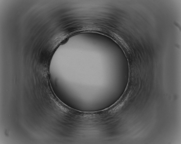 X0000091510985200709070949