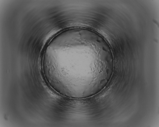 X0000091510987200709070949