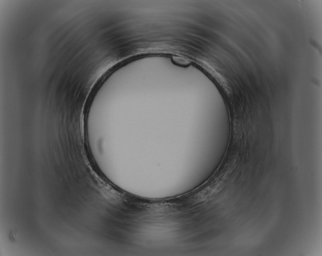 X0000091510988200709070949