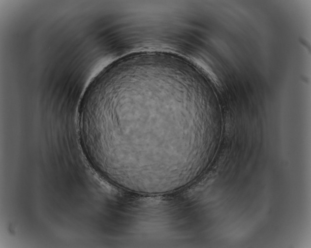 X0000091510990200709070949