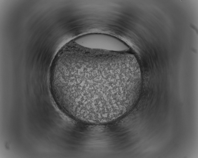 X0000091510991200709070949