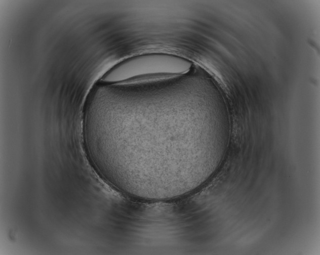 X0000091510992200709070949