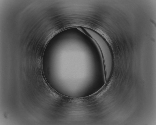 X0000091510993200709070949