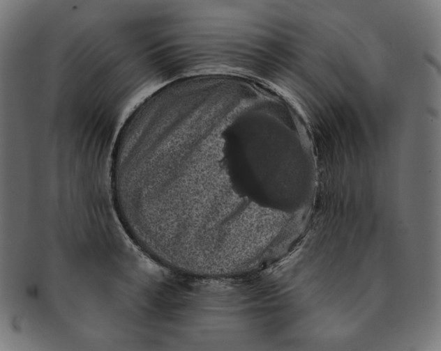 X0000091510995200709070949