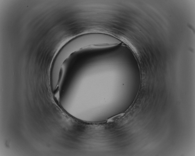 X0000091510996200709070949