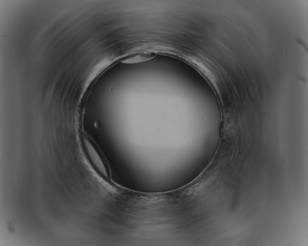 X0000091510997200709070949