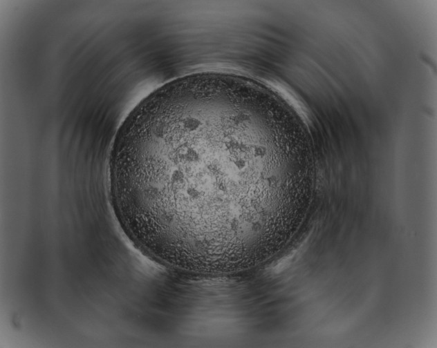 X0000091510999200709070949