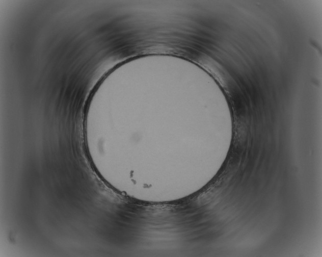 X0000091511000200709070949